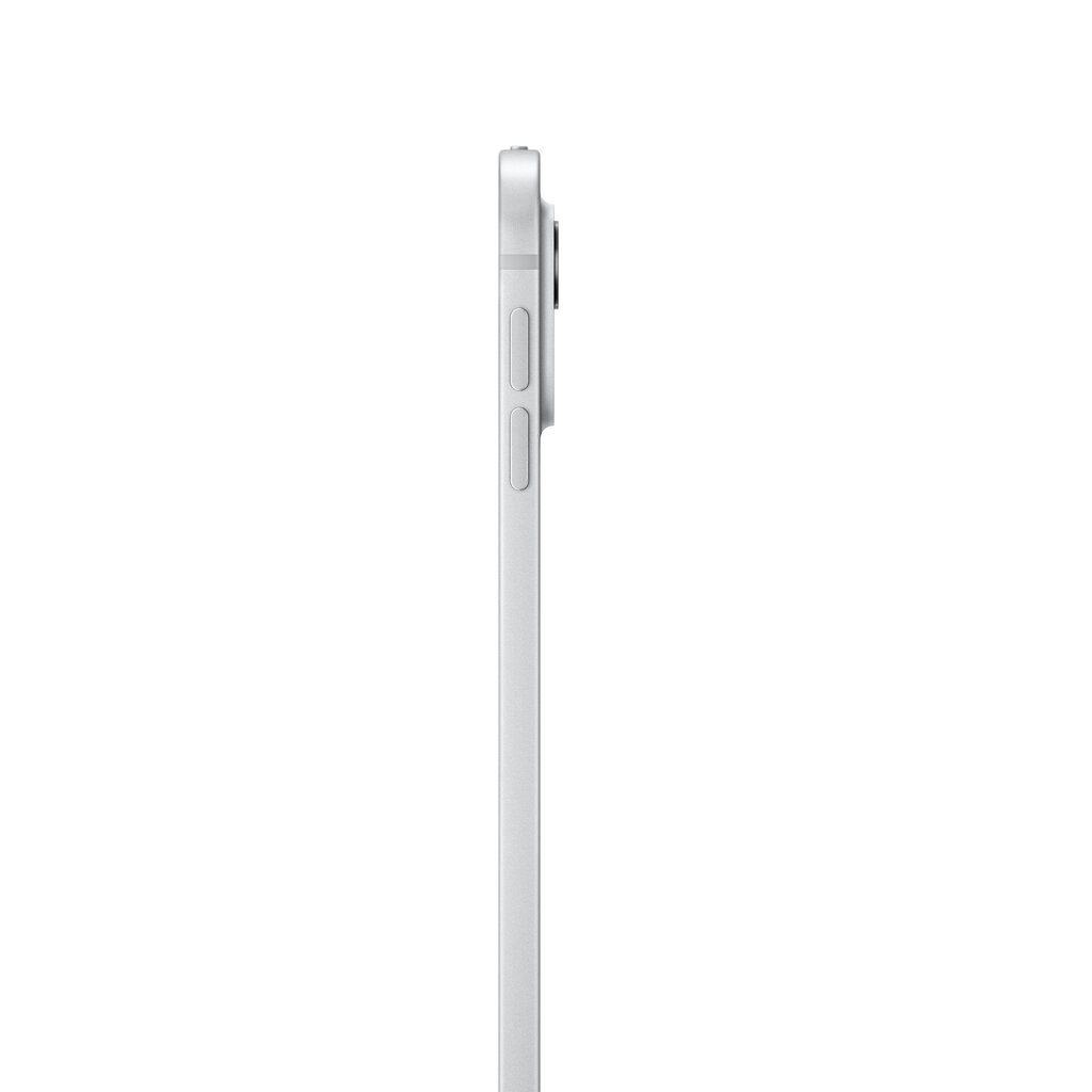 iPad Pro 13" M4 Wi-Fi 1TB with Standard glass - Silver - MVX73HC/A цена и информация | Tahvelarvutid | hansapost.ee