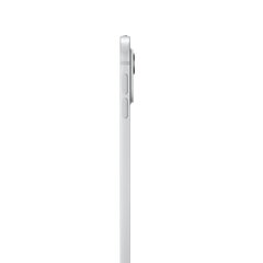 13-дюймов iPad Pro WiFi 1ТБ со стеклом с нанотекстурой - Серебро MWRG3HC/A цена и информация | Планшеты | hansapost.ee