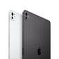 iPad Pro 13" M4 Wi-Fi + Cellular 1TB with Standard glass - Silver - MVXX3HC/A hind ja info | Tahvelarvutid | hansapost.ee