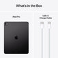 iPad Pro 13" M4 Wi-Fi 256GB with Standard glass - Space Black - MVX23HC/A hind ja info | Tahvelarvutid | hansapost.ee