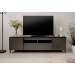 ТВ тумба Aatrium Bertrix, 177x40x51 см, серый цена и информация | Тумбы под телевизор | hansapost.ee