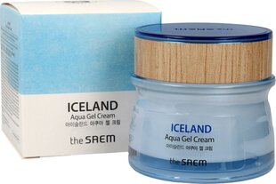 Geeljas näokreem The Saem Iceland Aqua, 60 ml hind ja info | Näokreemid | hansapost.ee