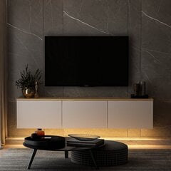 TV stalas Neon - White v2 цена и информация |  Тумбы под телевизор | hansapost.ee