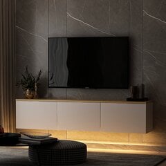 TV stalas Neon - White v2 цена и информация | Тумбы под телевизор | hansapost.ee