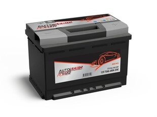 Aku Autoserio 550027042, 12 V цена и информация | Аккумуляторы | hansapost.ee