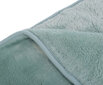 Gözze pleed/tekk Cashmere Premium, 220x240 cm цена и информация | Pleedid, voodikatted ja päevatekid | hansapost.ee