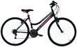 Laste jalgratas - must roosaga (Ratta suurus: 26”) цена и информация | Jalgrattad | hansapost.ee