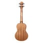 Tenor ukulele Cascha Art Leafy HH 2610 цена и информация | Kitarrid | hansapost.ee