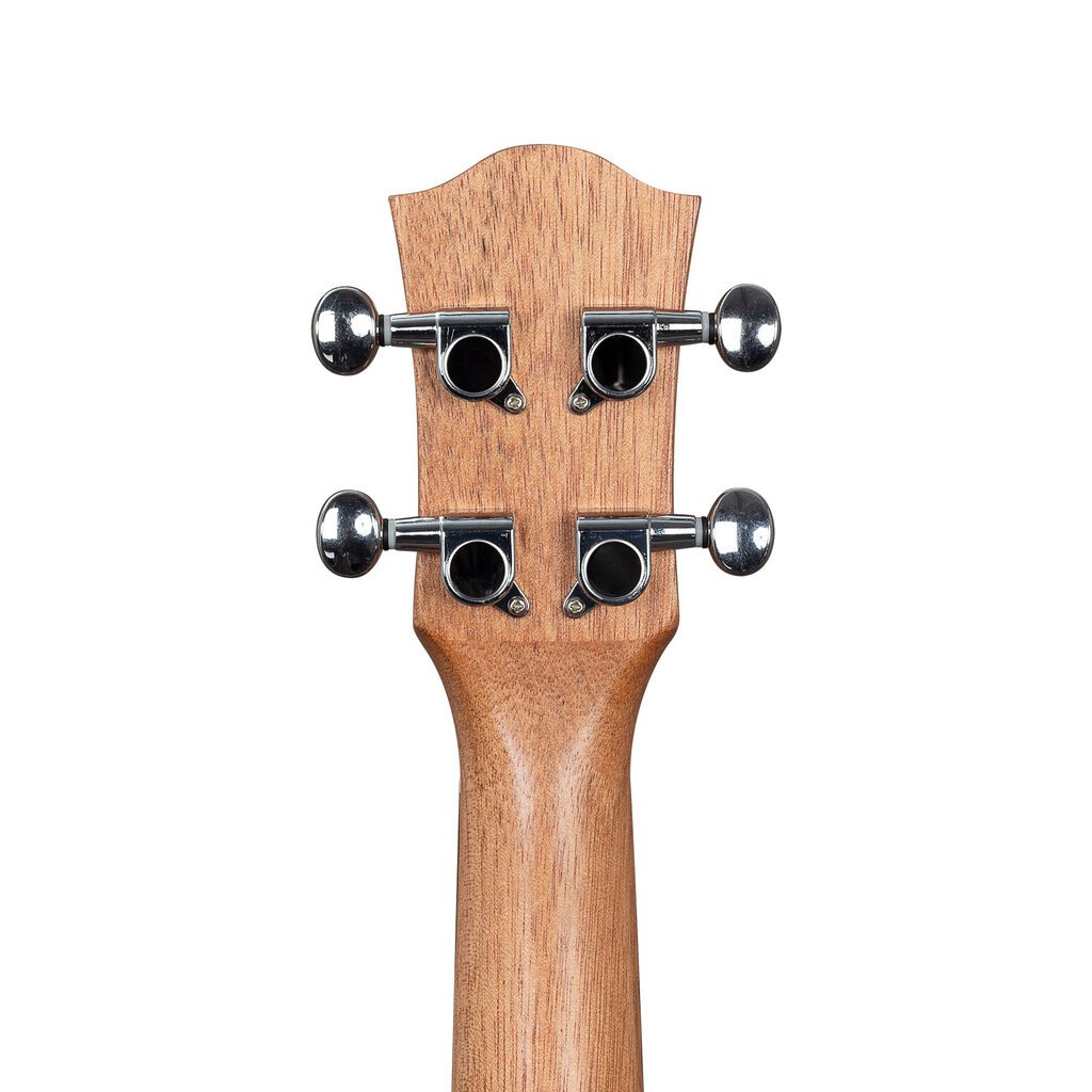 Tenor ukulele Cascha Art Leafy HH 2610 цена и информация | Kitarrid | hansapost.ee