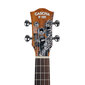 Tenor ukulele Cascha Art Sketch HH 2609 цена и информация | Kitarrid | hansapost.ee