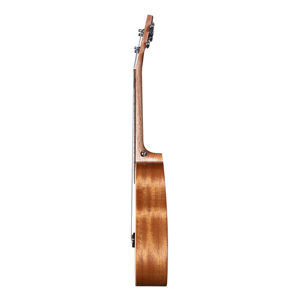 Kontsert ukulele Cascha HH 2607 цена и информация | Kitarrid | hansapost.ee