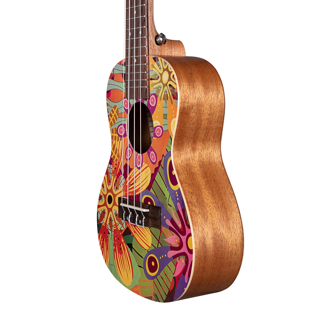 Kontsert ukulele Cascha HH 2607 hind ja info | Kitarrid | hansapost.ee