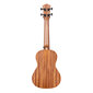 Kontsert ukulele Cascha HH 2607 hind ja info | Kitarrid | hansapost.ee