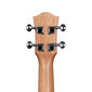 Kontsert ukulele Cascha HH 2605 hind ja info | Kitarrid | hansapost.ee