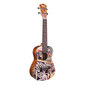 Kontsert ukulele Cascha HH 2604 hind ja info | Kitarrid | hansapost.ee