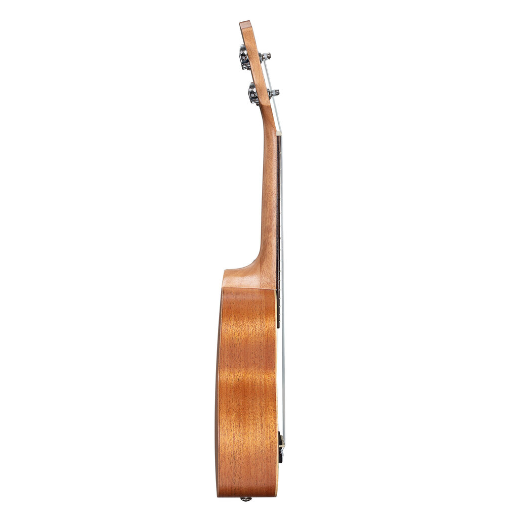 Sopran ukulele Cascha Art Sketch HH 2601 hind ja info | Kitarrid | hansapost.ee