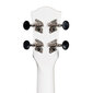 Kontsert ukulele Cascha CULC-DC hind ja info | Kitarrid | hansapost.ee