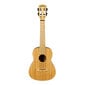 Kontsert ukulele Cascha HH 2313 hind ja info | Kitarrid | hansapost.ee