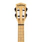 Kontsert ukulele Cascha HH 2313 hind ja info | Kitarrid | hansapost.ee