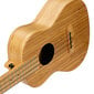 Kontsert ukulele Cascha HH 2313 hind ja info | Kitarrid | hansapost.ee