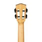 Kontsert ukulele Cascha HH 2313 hind ja info | Kitarrid | hansapost.ee