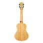 Kontsert ukulele Cascha HH 2313 hind ja info | Kitarrid | hansapost.ee