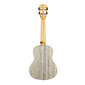 Kontsert ukulele Cascha HH 2316 hind ja info | Kitarrid | hansapost.ee