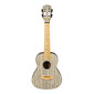 Kontsert ukulele Cascha HH 2316 цена и информация | Kitarrid | hansapost.ee