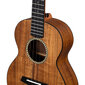 Tenor ukulele Cascha Acacia Solid Top HH 2349 hind ja info | Kitarrid | hansapost.ee