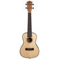 Tenor ukulele Cascha Spruce Solid Top HH 2154 цена и информация | Kitarrid | hansapost.ee