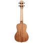 Tenor ukulele Cascha Spruce Solid Top HH 2154 цена и информация | Kitarrid | hansapost.ee