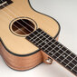 Tenor ukulele Cascha Spruce Solid Top HH 2154 цена и информация | Kitarrid | hansapost.ee