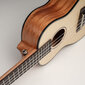 Tenor ukulele Cascha Spruce Solid Top HH 2154 цена и информация | Kitarrid | hansapost.ee