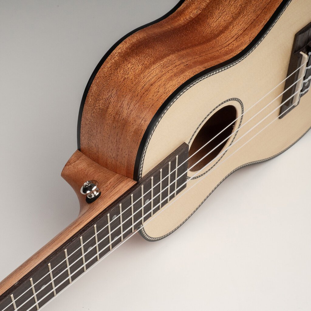 Kontsert ukulele Cascha HH 2151 цена и информация | Kitarrid | hansapost.ee