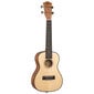 Kontsert ukulele Cascha HH 2151 цена и информация | Kitarrid | hansapost.ee