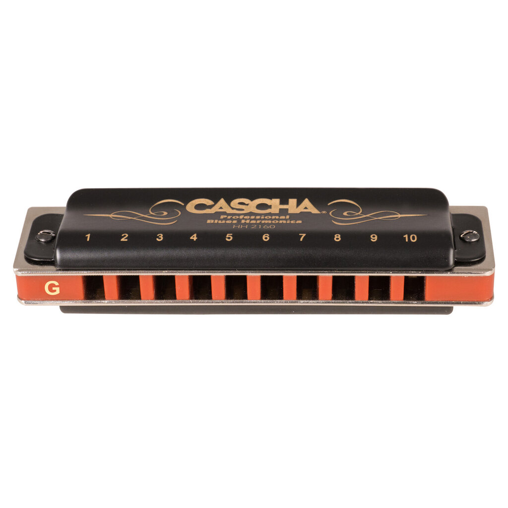 Suupill G Cascha Professional Blues Diatonic HH 2160 цена и информация | Puhkpillid | hansapost.ee