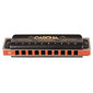 Suupill G Cascha Professional Blues Diatonic HH 2160 цена и информация | Puhkpillid | hansapost.ee