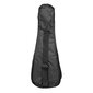 Sopran ukulele Cascha Pärn roosa HH 3968 hind ja info | Kitarrid | hansapost.ee