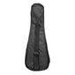 Soprano ukulele Cascha Linden kollane HH 3964 цена и информация | Kitarrid | hansapost.ee