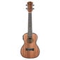 Elektroakustiline kontsert Ukulele Cascha HH 2035E цена и информация | Kitarrid | hansapost.ee