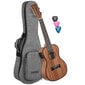 Elektroakustiline kontsert Ukulele Cascha HH 2035E цена и информация | Kitarrid | hansapost.ee