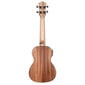 Elektroakustiline kontsert Ukulele Cascha HH 2035E цена и информация | Kitarrid | hansapost.ee