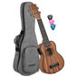 Elektroakustiline sopran ukulele Cascha HH 2026E hind ja info | Kitarrid | hansapost.ee