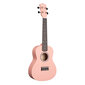 Kontsert ukulele Cascha CUC107 цена и информация | Kitarrid | hansapost.ee