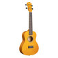 Kontsert ukulele Cascha CUC105 hind ja info | Kitarrid | hansapost.ee