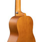 Kontsert ukulele Cascha CUC100 hind ja info | Kitarrid | hansapost.ee