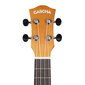 Kontsert ukulele Cascha CUC100 hind ja info | Kitarrid | hansapost.ee