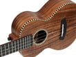 Kontsert ukulele Cascha HH 2310 hind ja info | Kitarrid | hansapost.ee