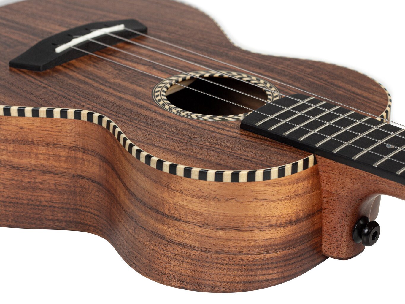 Kontsert ukulele Cascha HH 2310 hind ja info | Kitarrid | hansapost.ee