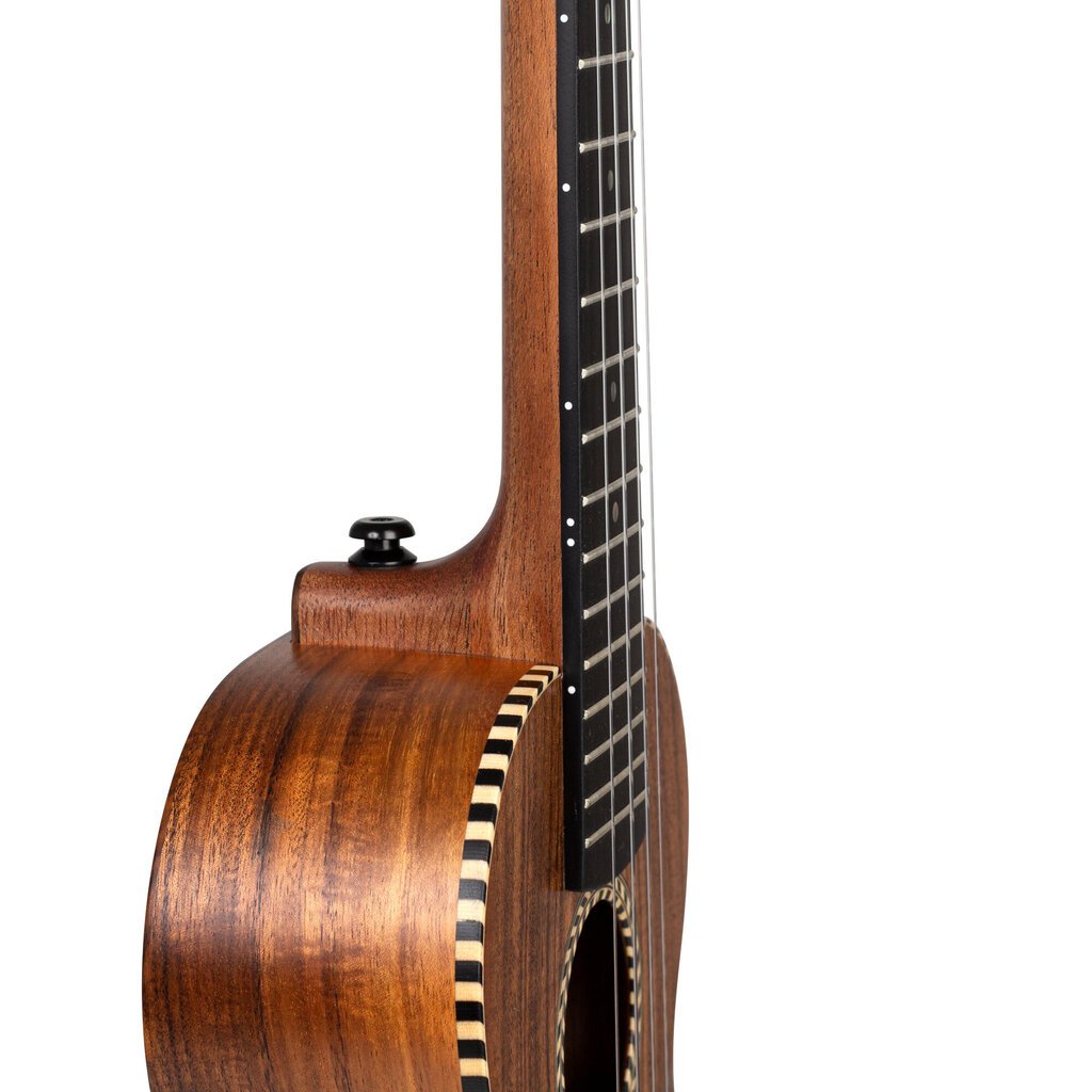 Kontsert ukulele Cascha HH 2310 hind ja info | Kitarrid | hansapost.ee